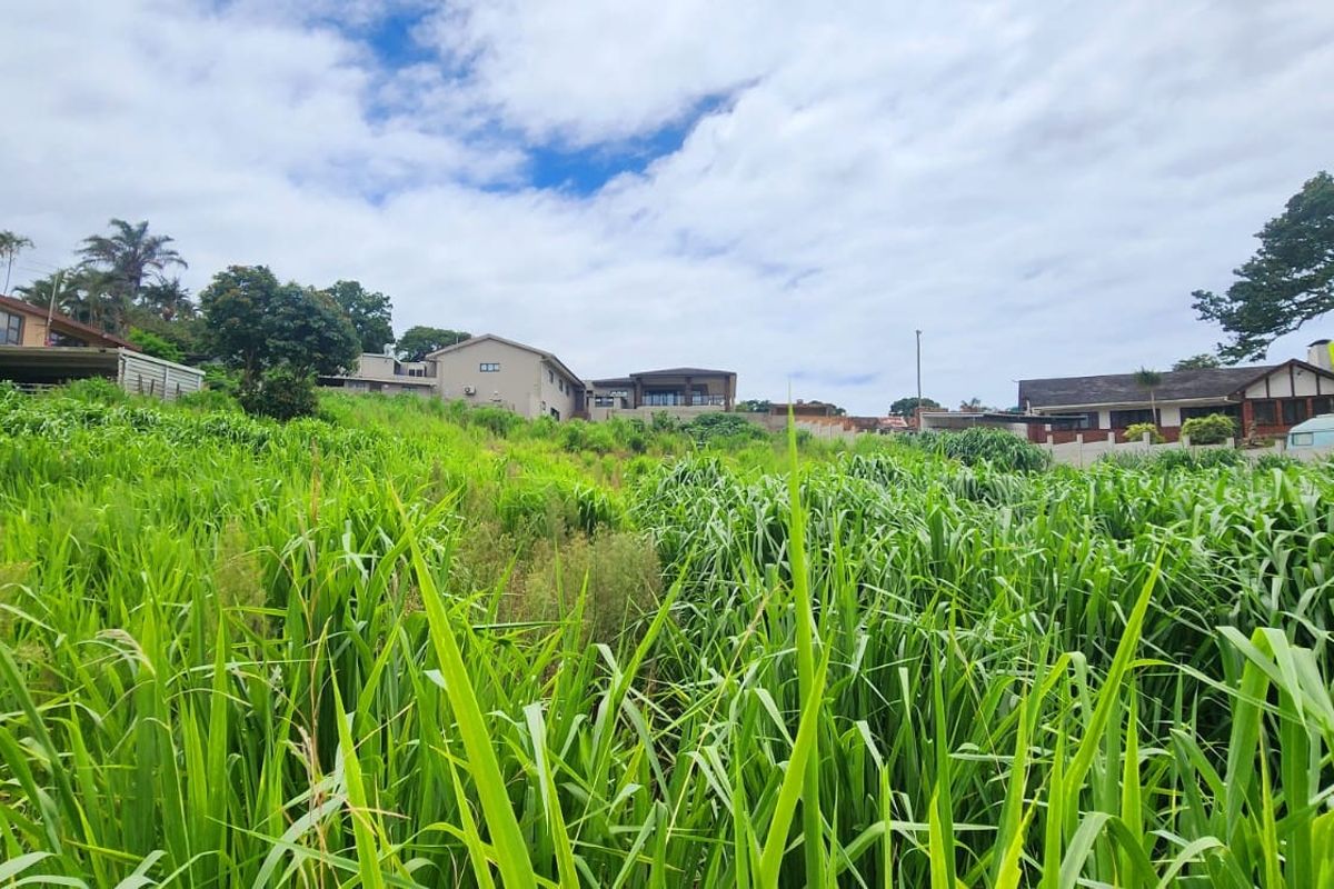 A view of a vacant residential plot featuring sloped terrain and overgrown vegetation, situated in an established neighborhood.