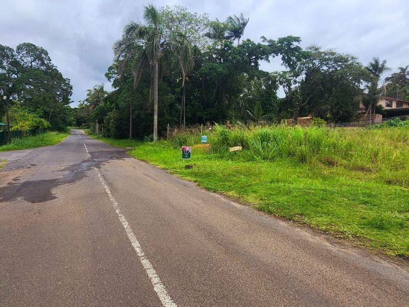Street view of the residential property showing the access road, verge, and surrounding mature vegetation.