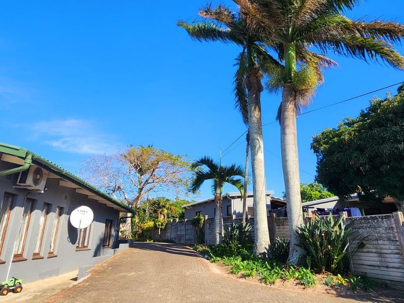 A view of the paved driveway leading towards the front of the house, featuring established palm trees and a secure boundary wall.