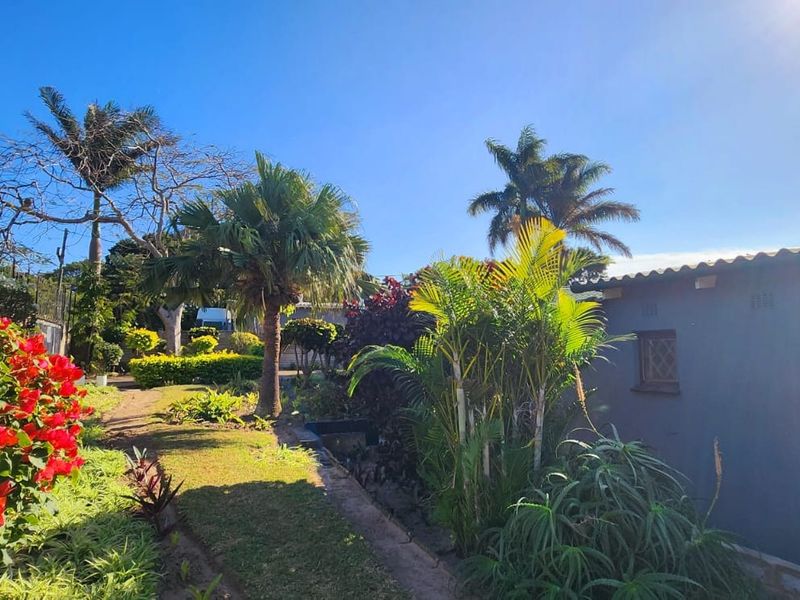 A well-maintained garden area featuring lush greenery, mature palm trees, and a clear view of the property's exterior wall and windows.