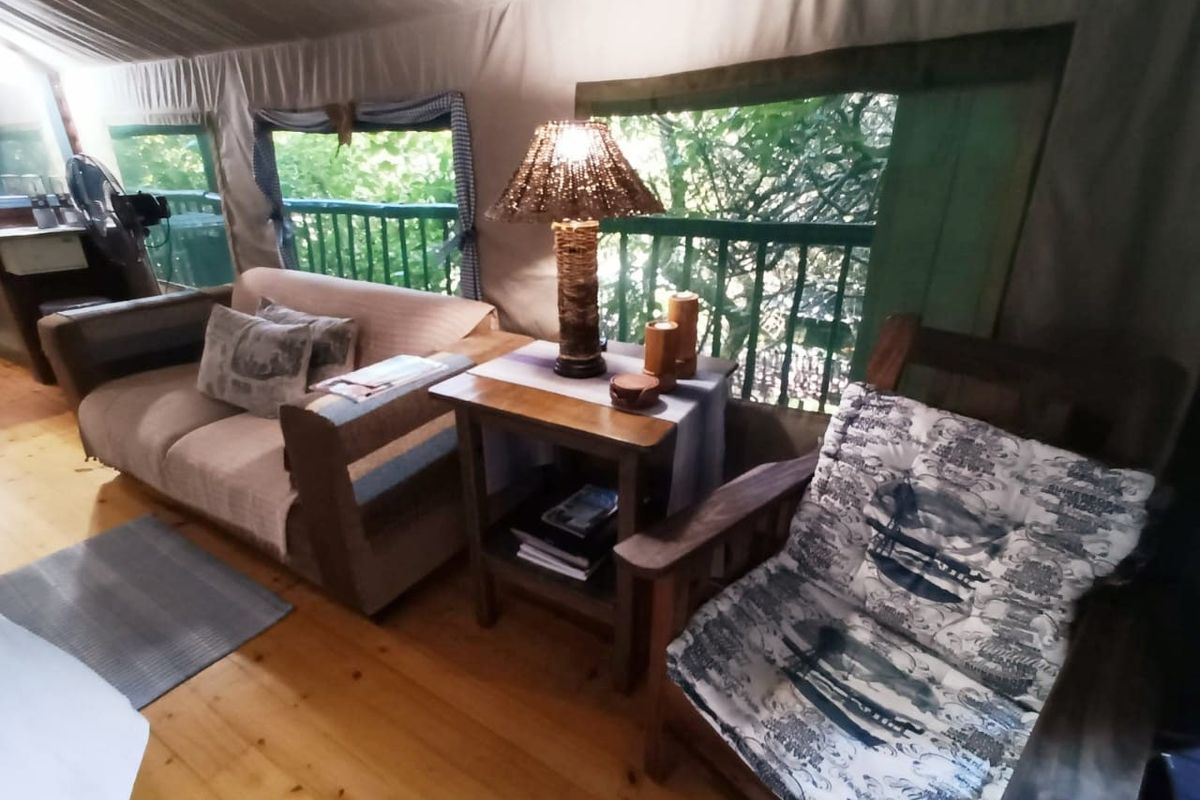 A rustic living area featuring timber flooring and canvas walls, creating a cozy, tent-style atmosphere with views through the surrounding greenery.