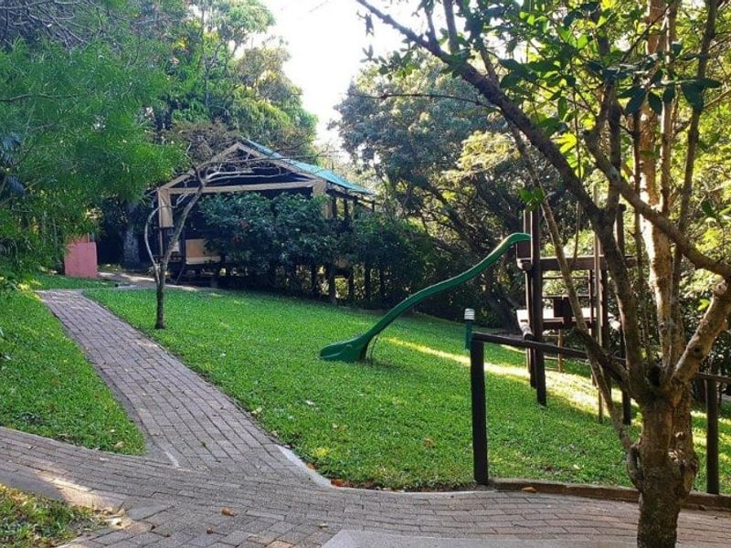 A lush, sloped garden area featuring a paved brick walkway, mature trees, and established landscaping.