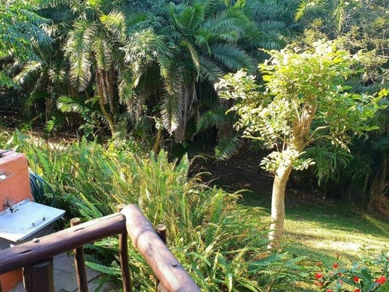 An outdoor patio area featuring a built-in braai and timber railing, overlooking a lush, green garden setting.