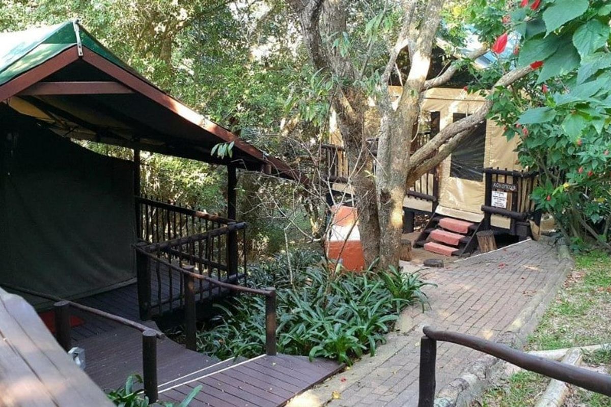 A natural outdoor setting featuring raised timber decks, canvas tent structures, and brick paved pathways nestled within a wooded garden environment.