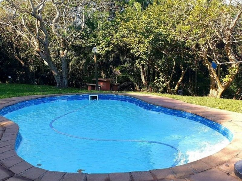 A private swimming pool set within a lush, established garden with paved surround.