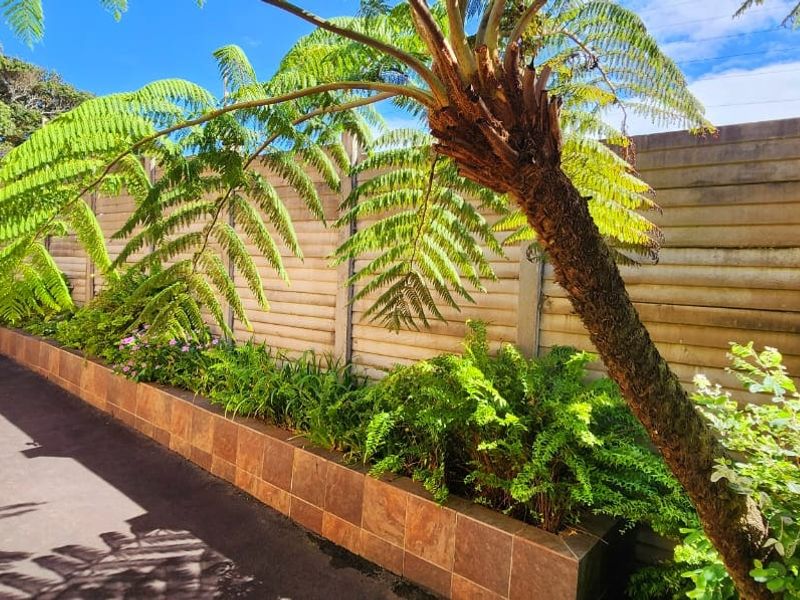 A side garden area featuring a paved walkway, a tiled planter box, and a precast concrete boundary wall.