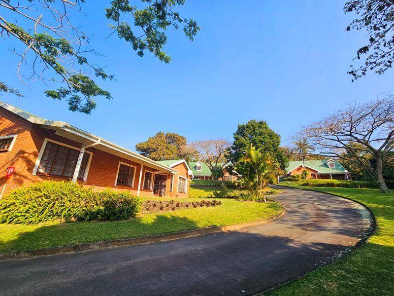 A wide-angle view of a charming brick house with a pitched roof, featuring a winding asphalt driveway and well-maintained landscaped gardens.