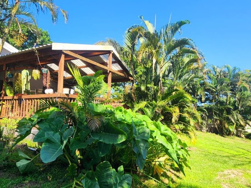 A rear view of the property featuring a covered timber deck and patio area overlooking a lush, landscaped garden.