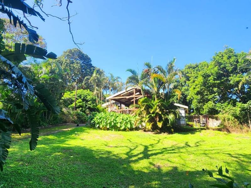 A spacious, lush green garden featuring mature trees and a glimpse of a timber deck attached to the rear of the property.