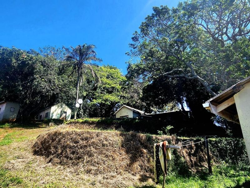 A view of the rear property grounds featuring sloped terrain, mature trees, and existing small structures with weathered exterior finishes.