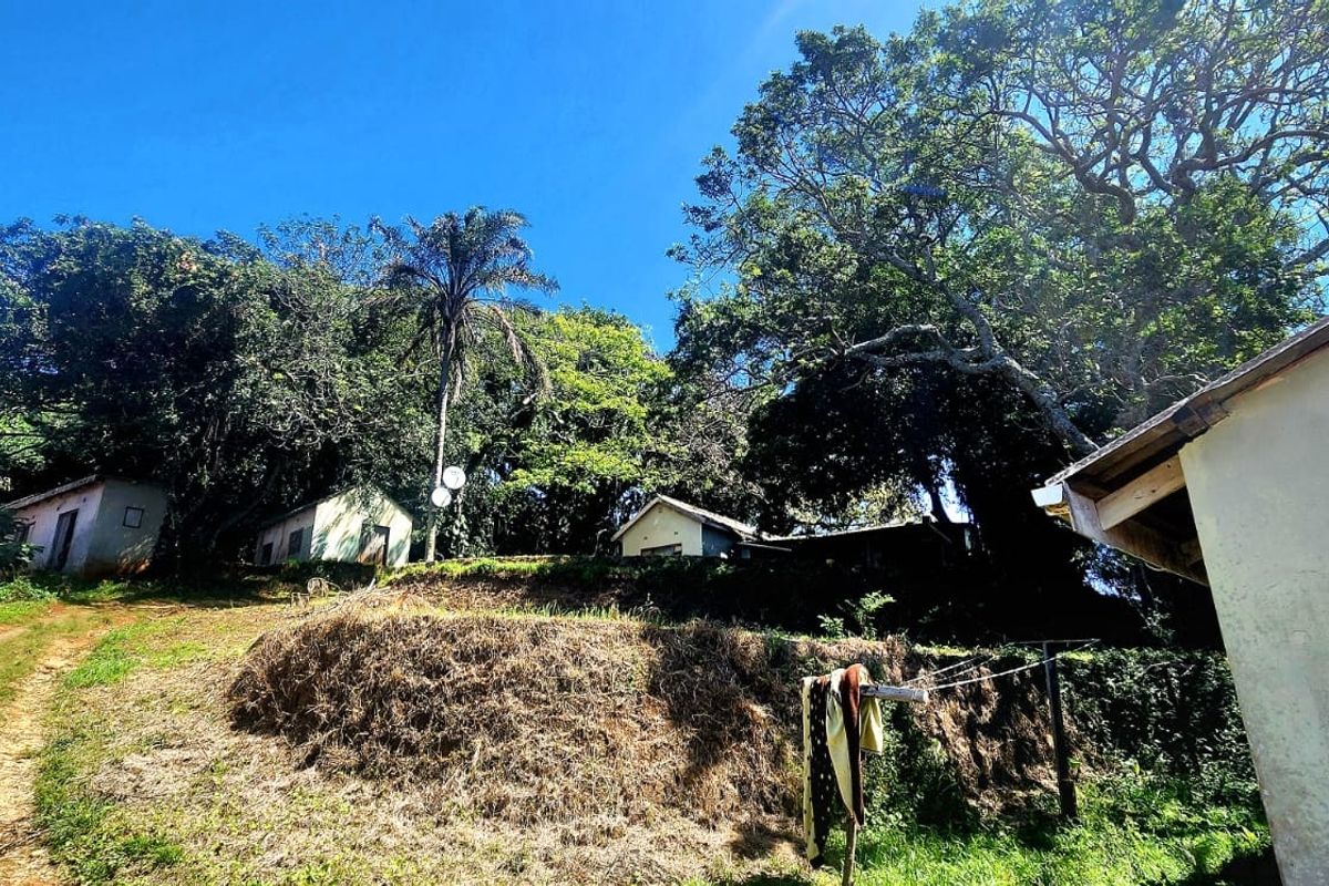 A view of the rear property grounds featuring sloped terrain, mature trees, and existing small structures with weathered exterior finishes.