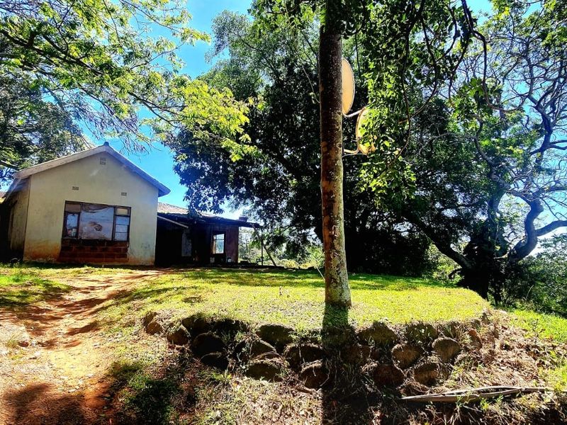 A view of the front exterior of a residential property featuring a stone retaining wall, mature trees, and a pitched roof structure.