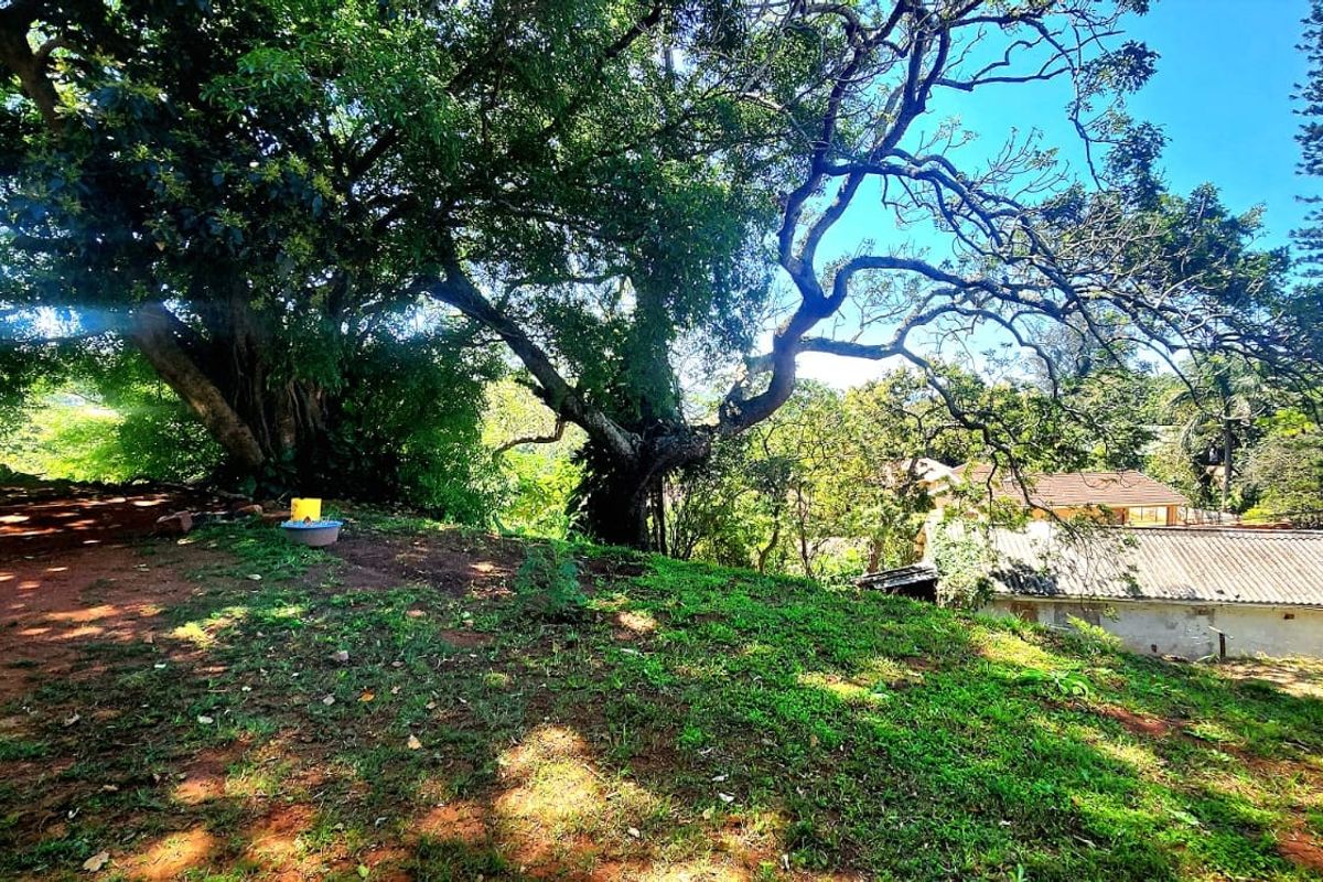 A view of a sloped residential plot featuring mature trees and natural vegetation, overlooking neighboring properties.