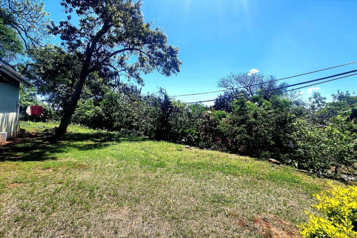 A view of the residential garden area featuring established trees, lawn, and a satellite dish mounted on the side of the building.