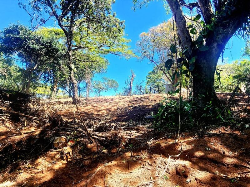 A view of a sloped, undeveloped residential plot featuring mature trees and natural vegetation.