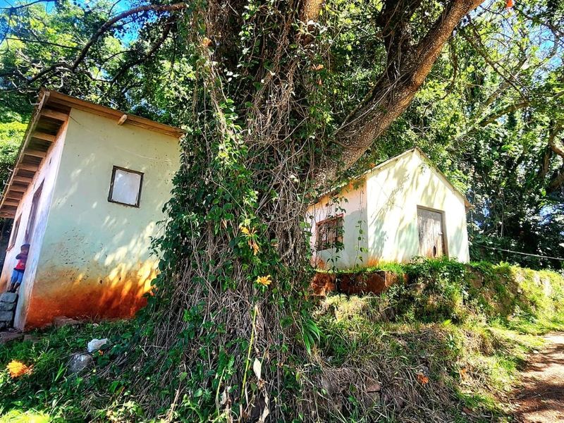 A view of small outbuildings situated on a sloped, tree-covered residential lot with natural landscaping and stone retaining features.