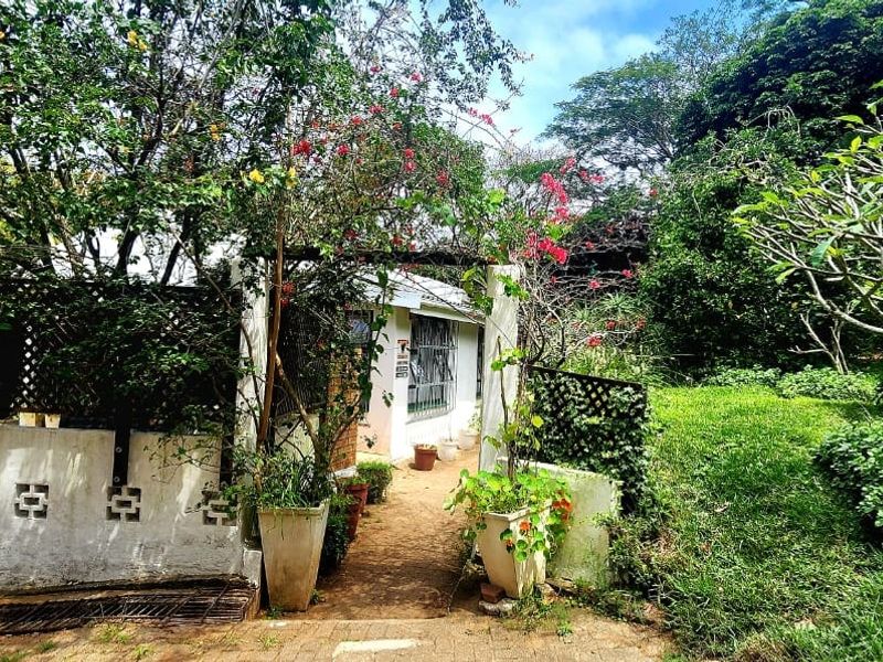 A lush, mature garden featuring a paved pathway, established trees, and a brick boundary wall with trellis detailing.