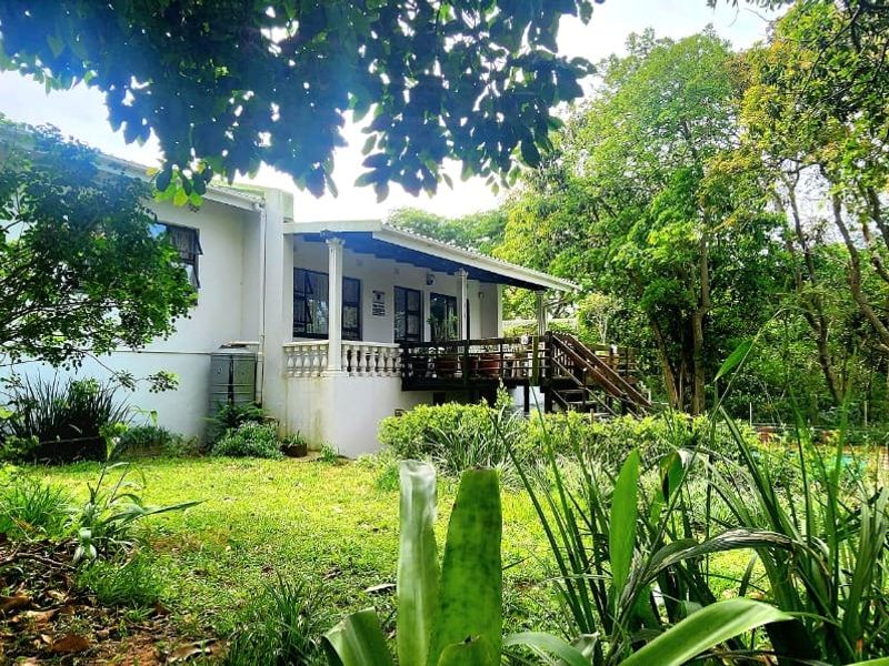 Rear view of the house featuring a raised wooden deck, balustrade, and a lush, established garden setting.