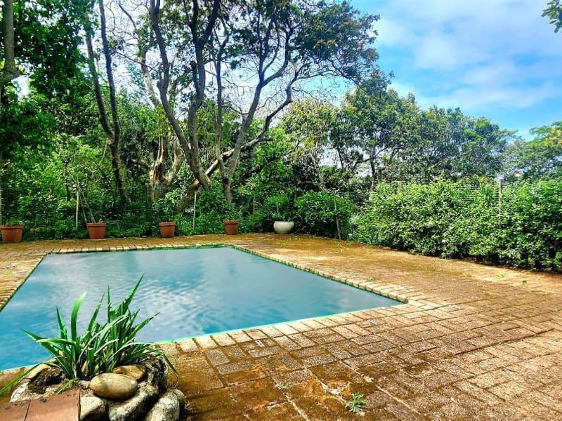 Outdoor swimming pool area featuring brick paving and established garden surroundings, offering a private and natural setting.