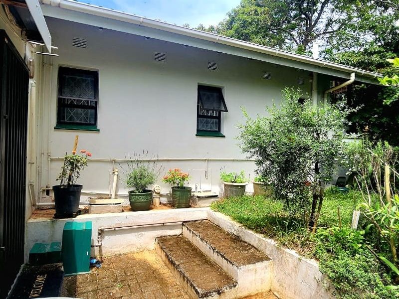 Rear exterior view of the property featuring a paved patio area, concrete steps, and established garden surroundings.