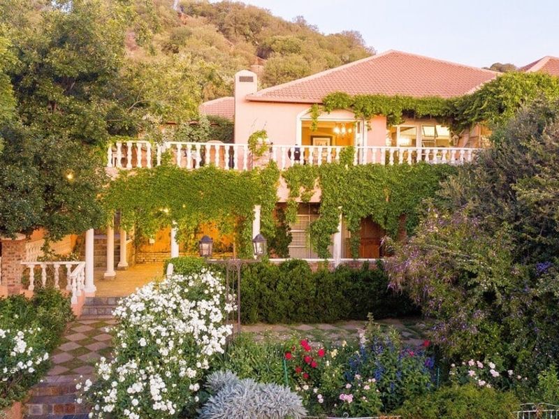 Rear elevation of a multi-level house featuring a spacious terrace, stone paving, and lush garden landscaping with climbing greenery.