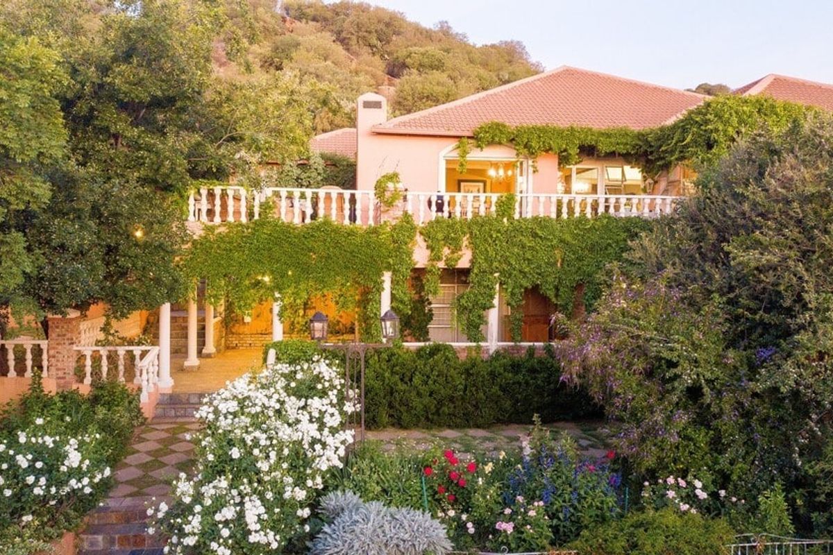 Rear elevation of a multi-level house featuring a spacious terrace, stone paving, and lush garden landscaping with climbing greenery.
