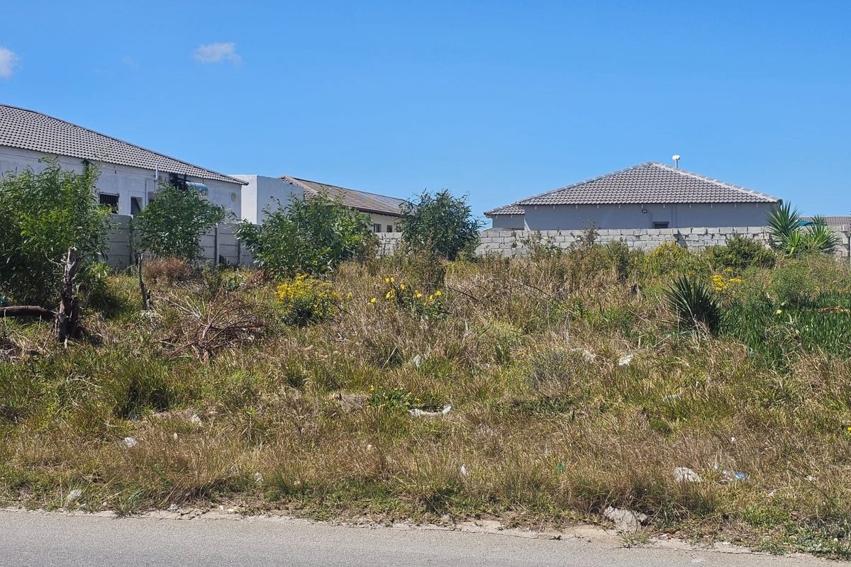 A vacant residential plot featuring overgrown vegetation, enclosed by boundary walls, situated along a paved road in a developed neighborhood.