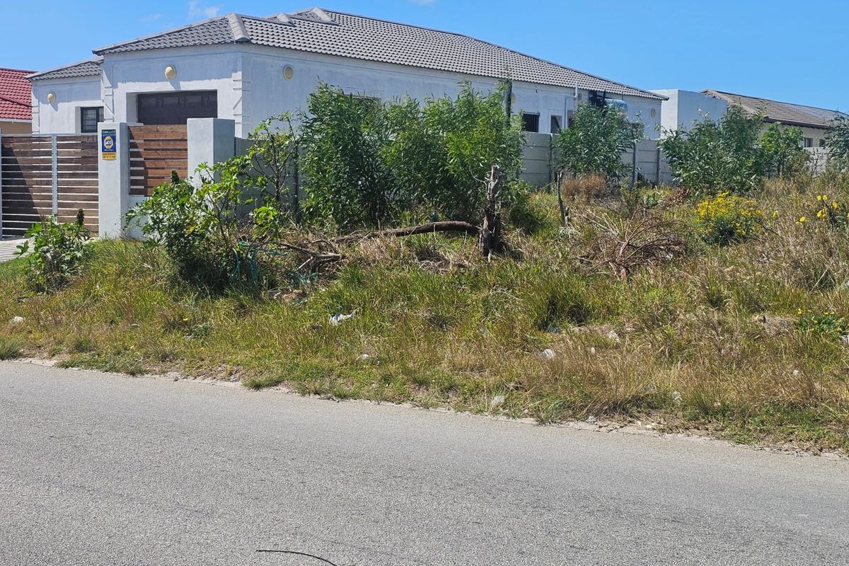 Street view of a vacant residential plot featuring overgrown vegetation, adjacent to an existing residential property with a boundary wall and gate.