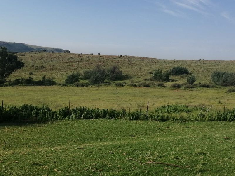 Farm Sold In Walkerville - Photo 6