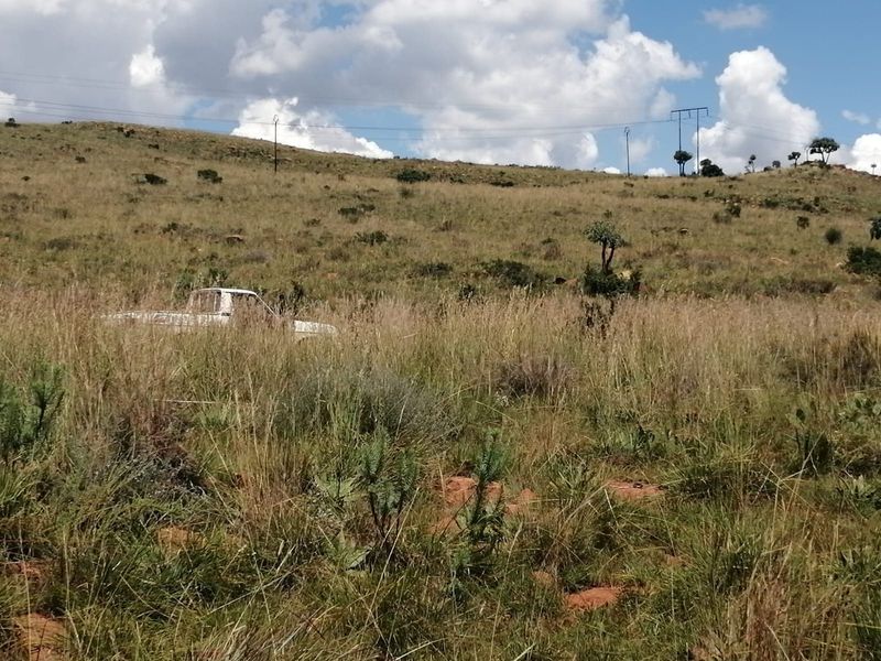 Farm Sold In Walkerville - Photo 8