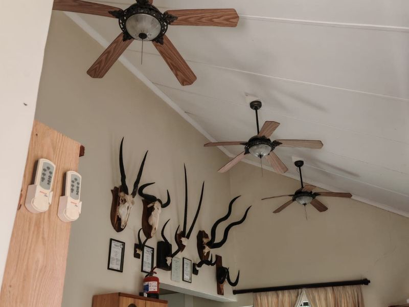 Open plan living and kitchen area featuring vaulted ceilings with multiple fans, built-in cabinetry, and a security gate on the window.