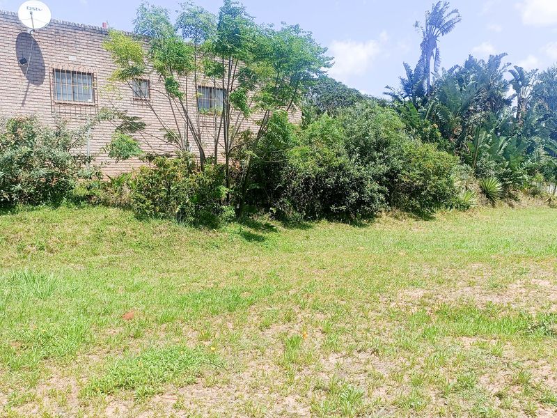 A view of the rear exterior of the property featuring a brick wall, security bars on windows, and a water tank set against garden greenery.