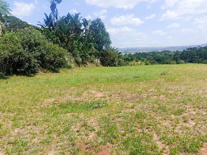 A view of the vacant residential land featuring natural grass cover, established trees, and a scenic landscape outlook.
