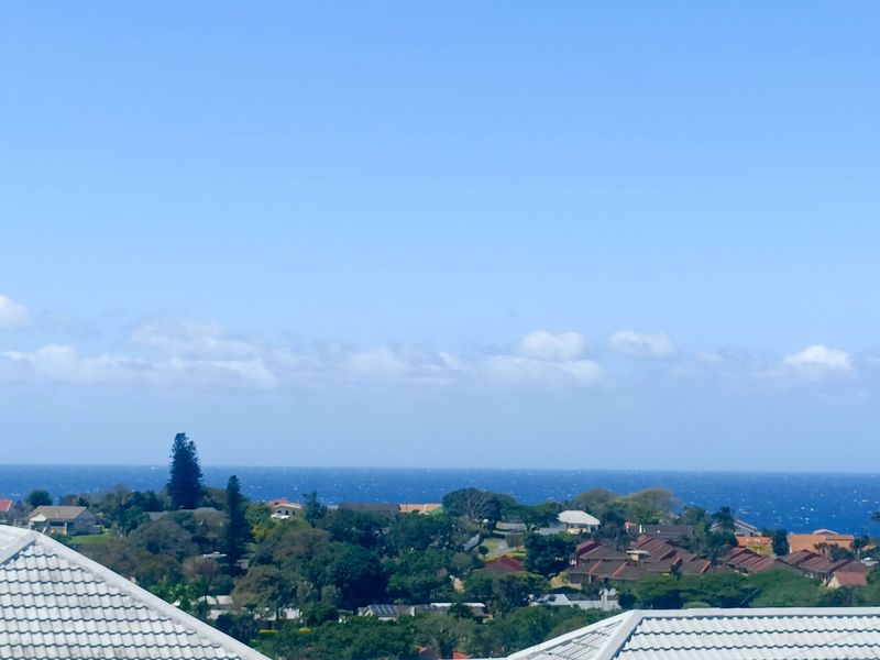 A scenic elevated view overlooking a residential neighborhood with a clear horizon line of the ocean.