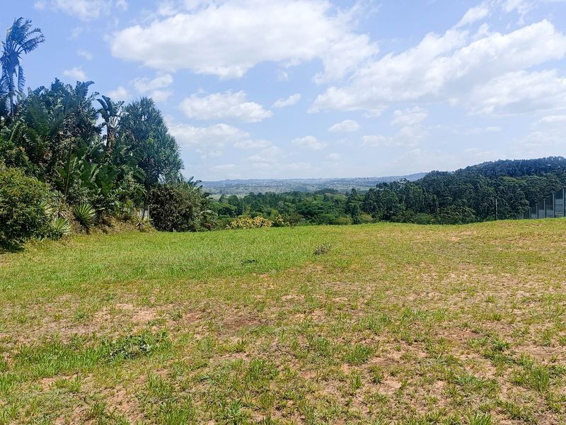 A scenic view overlooking a lush green landscape with established trees and a precast concrete boundary wall on the property perimeter.