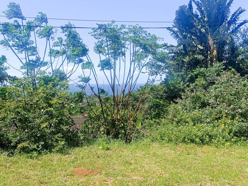 A view of the surrounding landscape and distant horizon from the vacant residential plot, featuring established trees and natural vegetation.