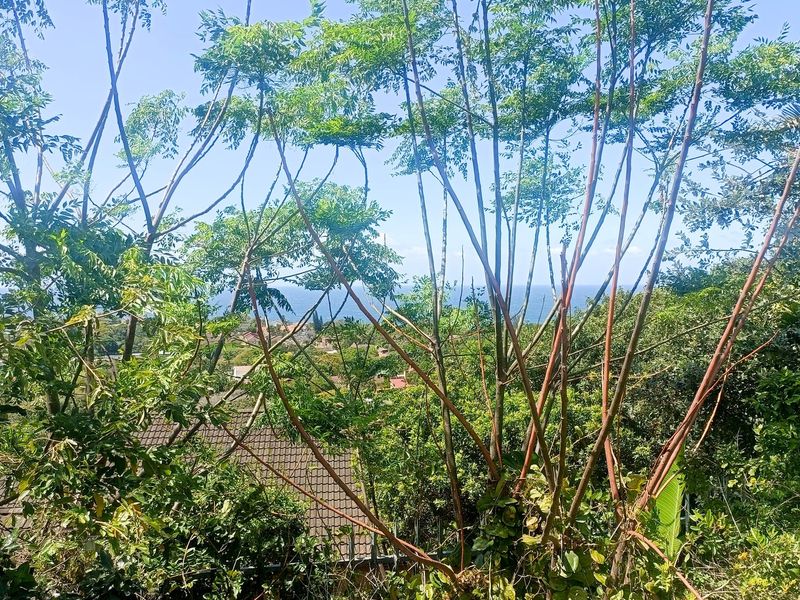 A scenic view overlooking the surrounding neighborhood with a glimpse of the ocean in the distance, framed by mature trees.