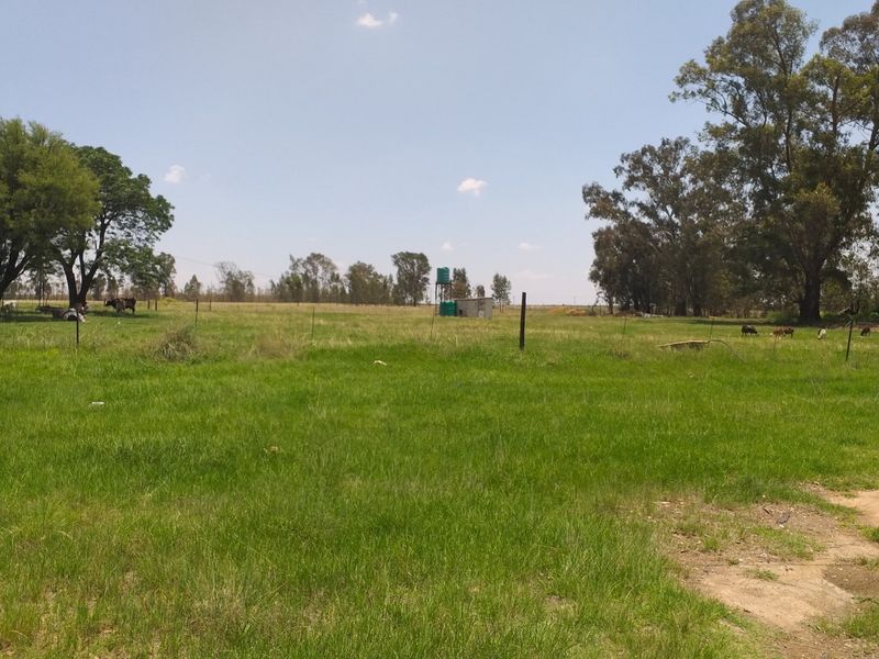 Farm For Sale In Bronkhorstspruit - Photo 3