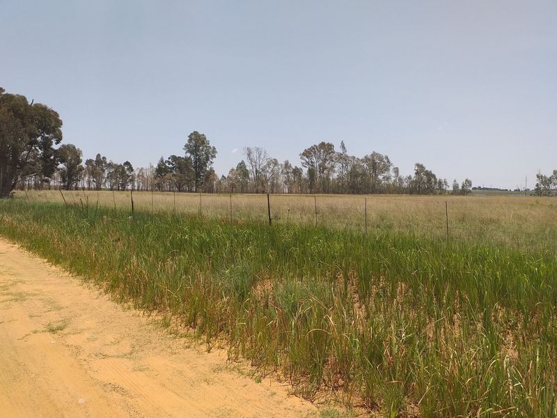 Farm For Sale In Bronkhorstspruit - Photo 8