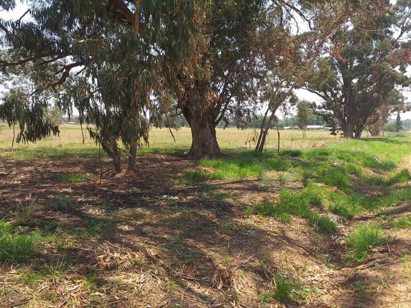 Farm For Sale In Bronkhorstspruit - Photo 7