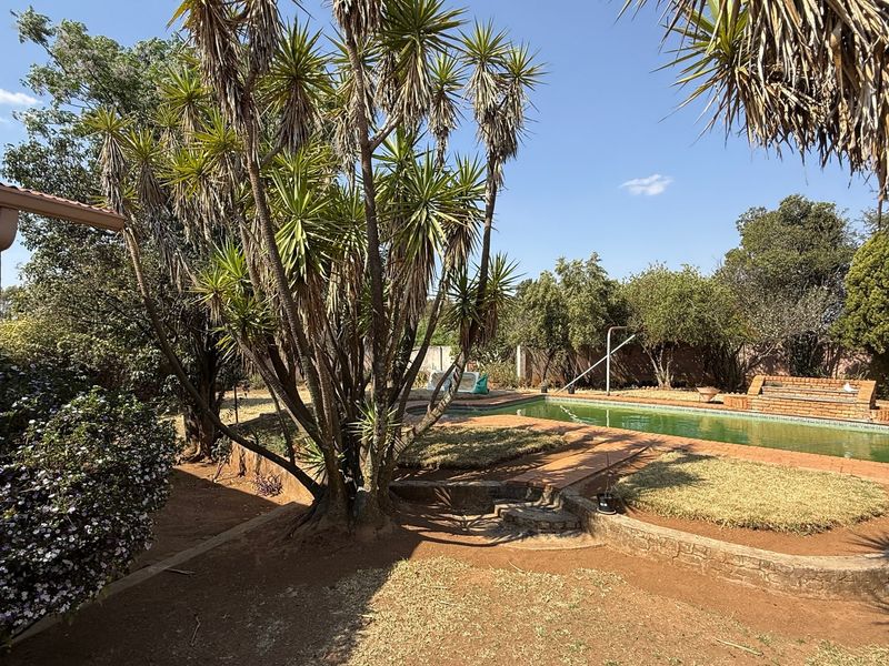 House Sold In Walkerville - Photo 7