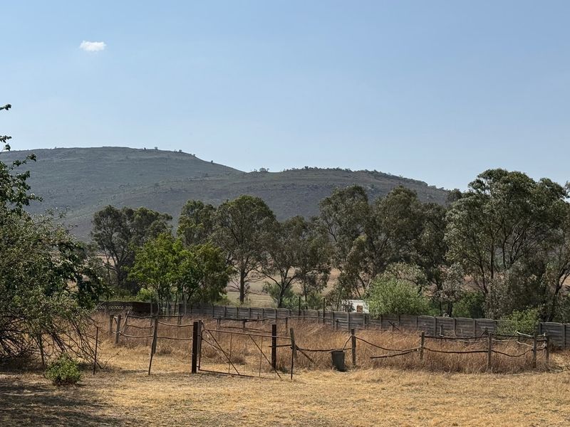 House Sold In Walkerville - Photo 4