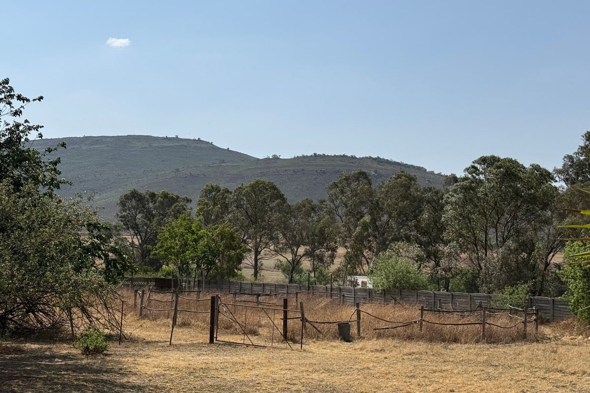 House Sold In Walkerville - Photo 4