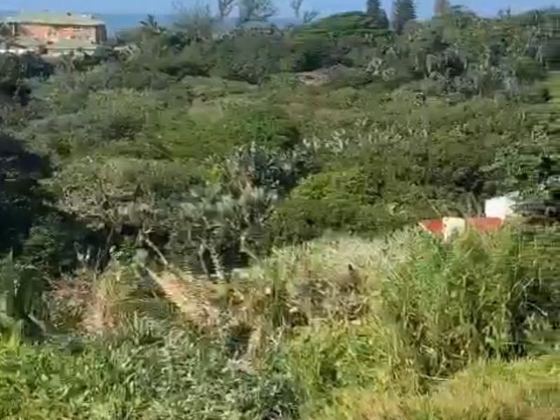 Vacant Land For Sale In Trafalgar - Photo 4