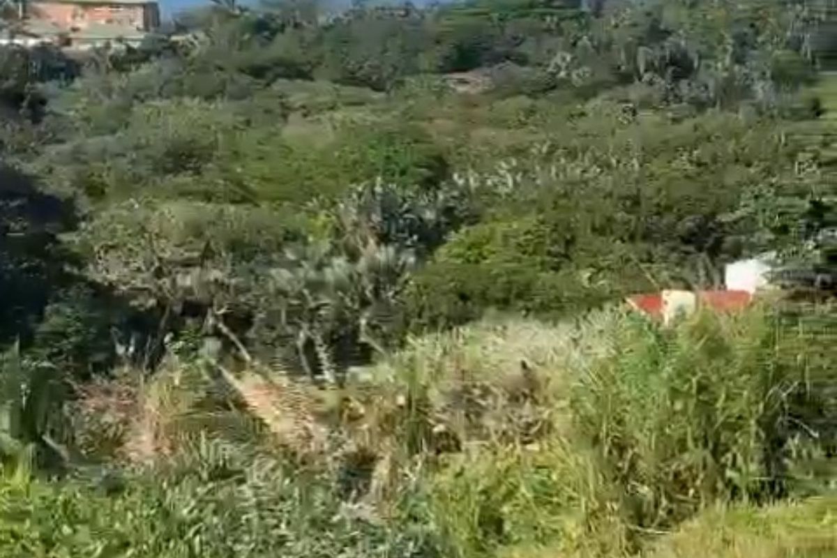 Vacant Land For Sale In Trafalgar - Photo 4