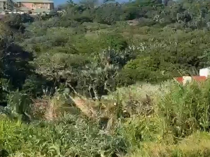 Vacant Land For Sale In Trafalgar - Photo 8