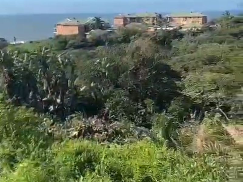 Vacant Land For Sale In Trafalgar - Photo 6