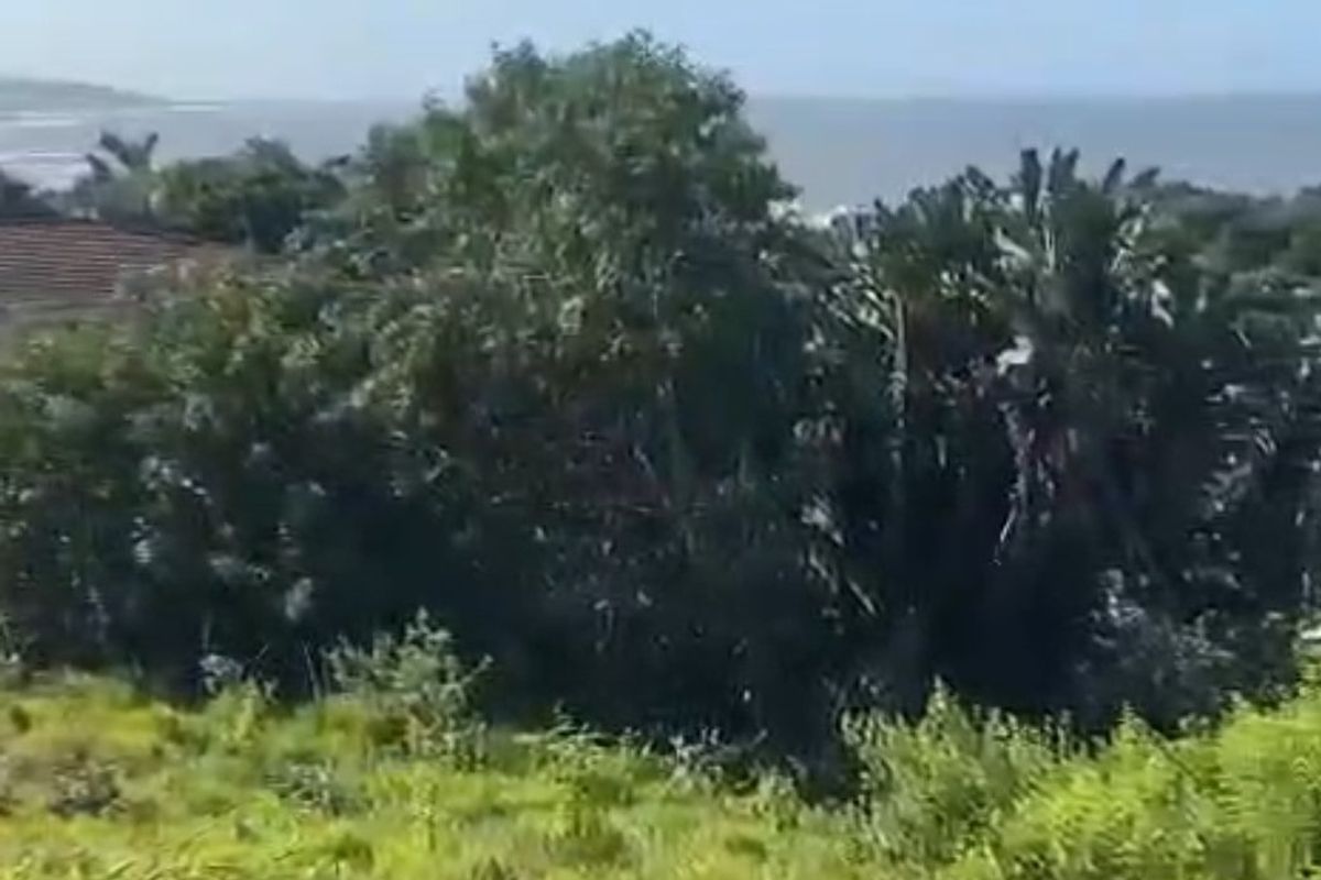A scenic view overlooking coastal vegetation and the ocean horizon from the vacant residential land.