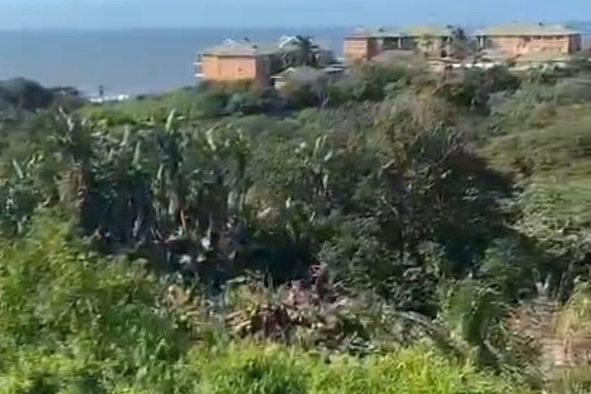 A scenic landscape view overlooking lush coastal vegetation with residential buildings visible in the distance.