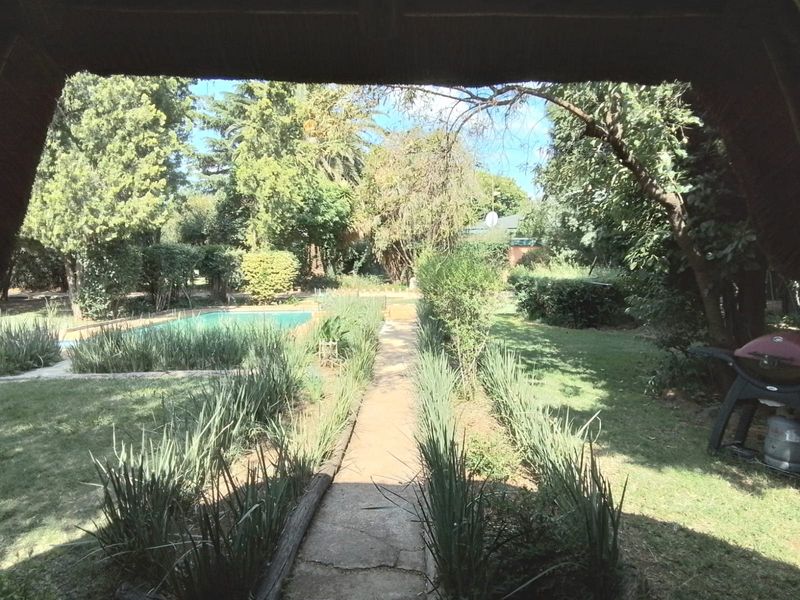 A view from a covered patio looking out over a lush garden featuring a concrete pathway and a swimming pool.
